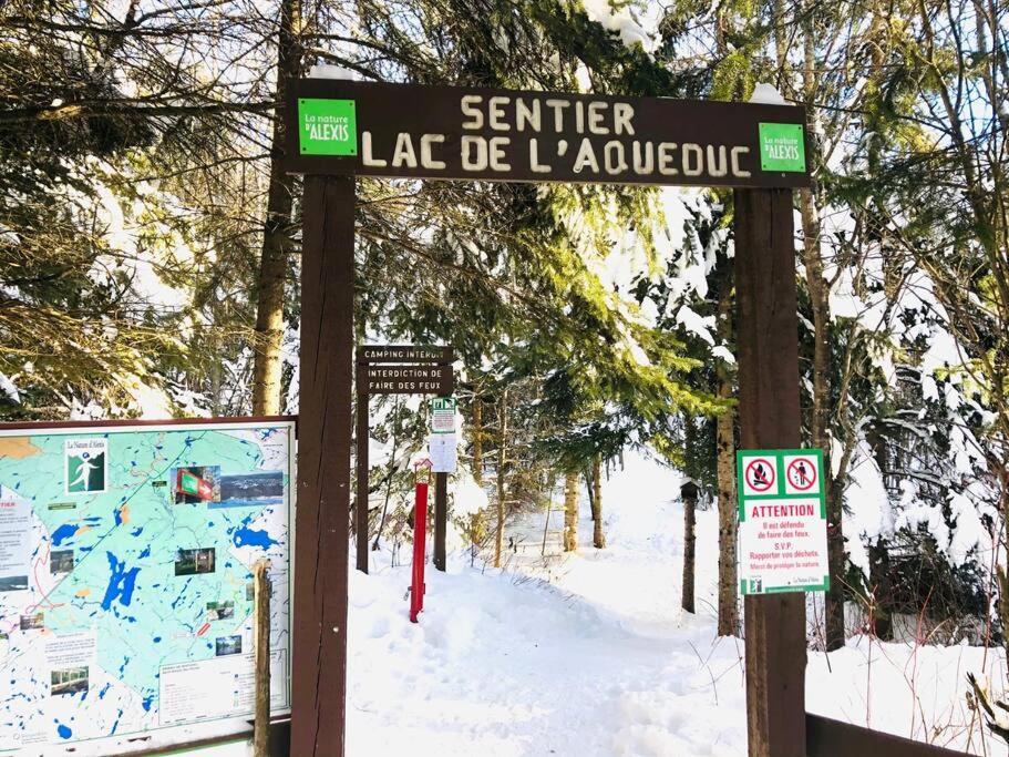 Chalets Nabu La Sacacomie - Riviere - Billard Saint-Alexis-des-Monts Zewnętrze zdjęcie